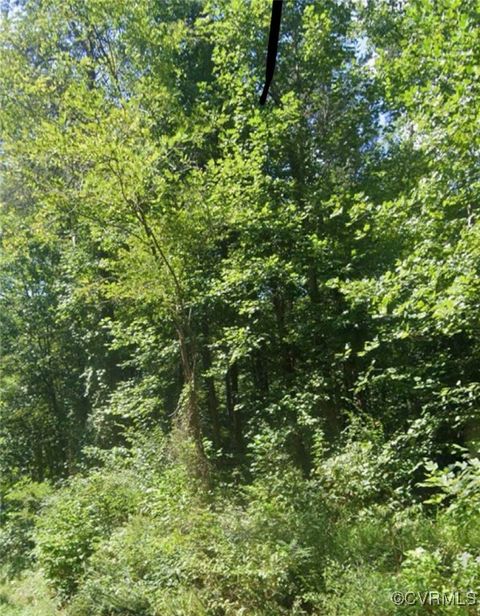 Photo of 0 New Line Road, Goochland, VA 23065 (MLS # 2518895)