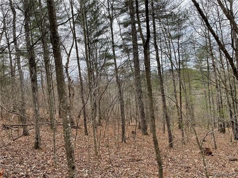 Tiny photo for NA Estaline Valley Road, Craigsville, VA 24430 (MLS # 2312583)