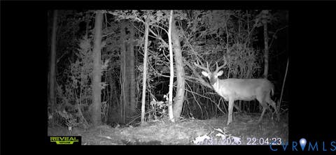 Tiny photo for 663.8 Acres Peach Road, Chesapeake, VA 23321 (MLS # 2619434)