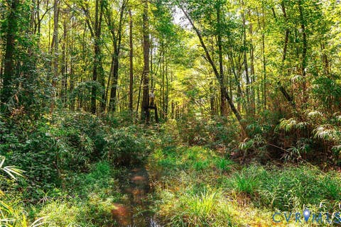 Tiny photo for 663.8 Acres Peach Road, Chesapeake, VA 23321 (MLS # 2619434)