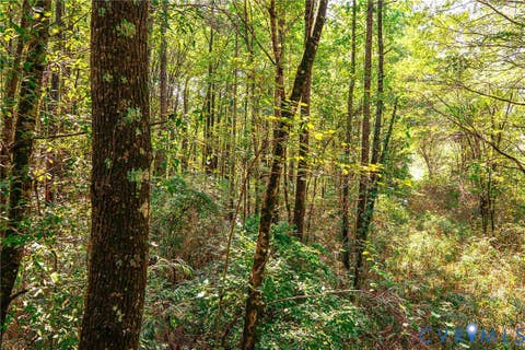 Tiny photo for 663.8 Acres Peach Road, Chesapeake, VA 23321 (MLS # 2619434)