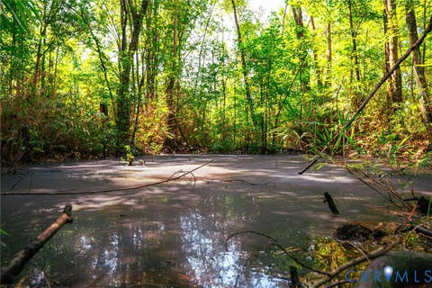 Tiny photo for 663.8 Acres Peach Road, Chesapeake, VA 23321 (MLS # 2619434)