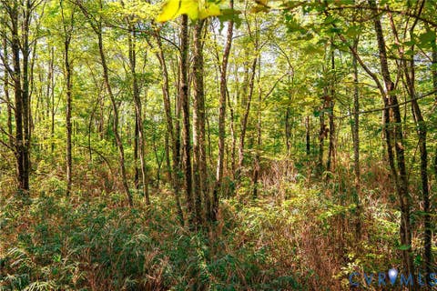 Tiny photo for 663.8 Acres Peach Road, Chesapeake, VA 23321 (MLS # 2619434)