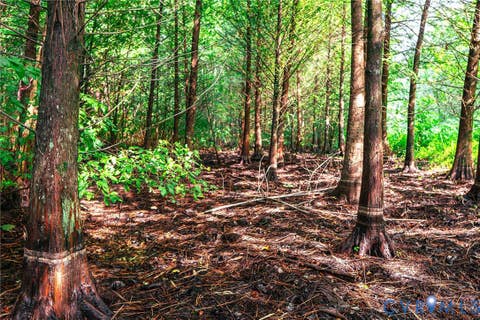 Tiny photo for 663.8 Acres Peach Road, Chesapeake, VA 23321 (MLS # 2619434)
