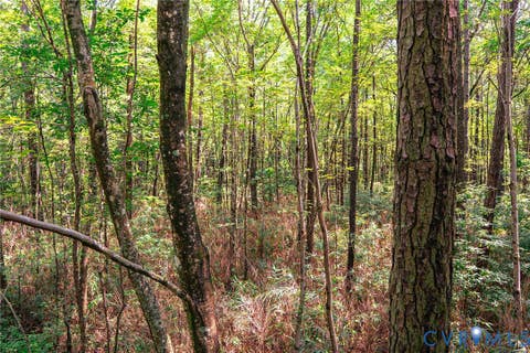 Tiny photo for 663.8 Acres Peach Road, Chesapeake, VA 23321 (MLS # 2619434)