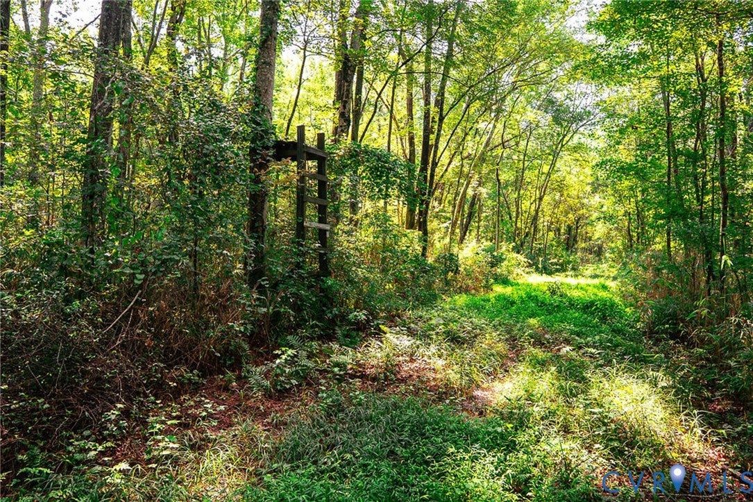 663.8 Acres Peach Road
