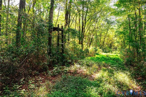 Tiny photo for 663.8 Acres Peach Road, Chesapeake, VA 23321 (MLS # 2619434)