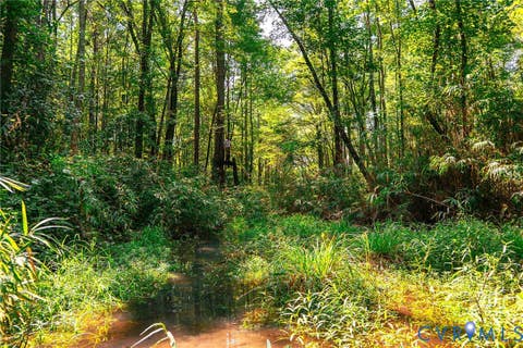 Tiny photo for 663.8 Acres Peach Road, Chesapeake, VA 23321 (MLS # 2619434)