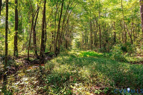 Tiny photo for 663.8 Acres Peach Road, Chesapeake, VA 23321 (MLS # 2619434)