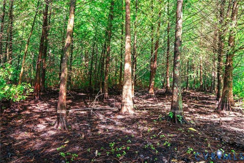 Tiny photo for 663.8 Acres Peach Road, Chesapeake, VA 23321 (MLS # 2619434)