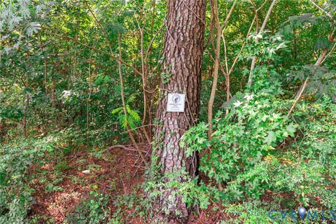 Tiny photo for 663.8 Acres Peach Road, Chesapeake, VA 23321 (MLS # 2619434)
