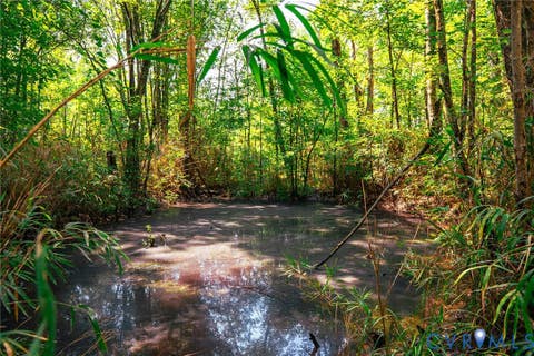 Tiny photo for 663.8 Acres Peach Road, Chesapeake, VA 23321 (MLS # 2619434)