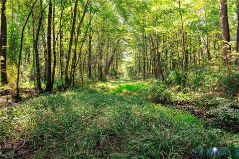 Tiny photo for 663.8 Acres Peach Road, Chesapeake, VA 23321 (MLS # 2619434)