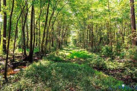 Tiny photo for 663.8 Acres Peach Road, Chesapeake, VA 23321 (MLS # 2619434)