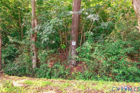 Tiny photo for 663.8 Acres Peach Road, Chesapeake, VA 23321 (MLS # 2619434)