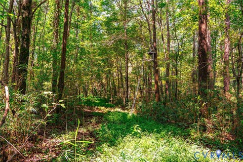 Tiny photo for 663.8 Acres Peach Road, Chesapeake, VA 23321 (MLS # 2619434)