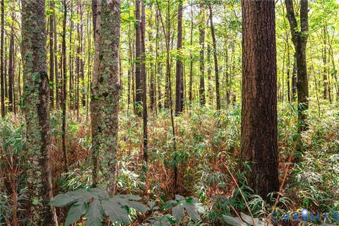 Tiny photo for 663.8 Acres Peach Road, Chesapeake, VA 23321 (MLS # 2619434)