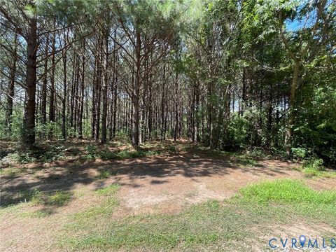 Tiny photo for 1 Deer Run Road, Blackstone, VA 23824 (MLS # 2619111)