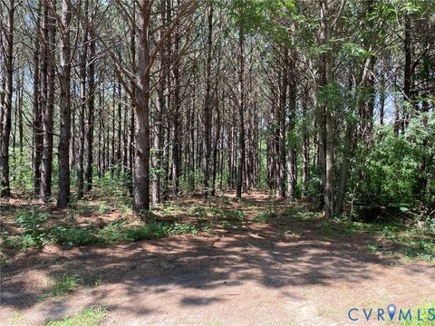 Tiny photo for 1 Deer Run Road, Blackstone, VA 23824 (MLS # 2619111)