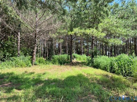 Tiny photo for 1 Deer Run Road, Blackstone, VA 23824 (MLS # 2619111)