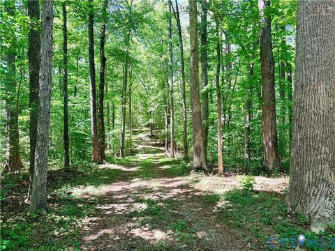 Tiny photo for 2590 Davis Mill Road, Goochland, VA 23063 (MLS # 2613394)