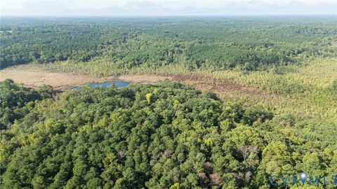 Tiny photo for 00 Montague Island Road, Jamaica, VA 23079 (MLS # 2530203)