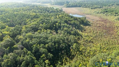 Tiny photo for 00 Montague Island Road, Jamaica, VA 23079 (MLS # 2530203)