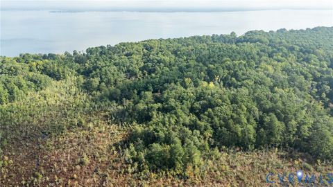 Tiny photo for 00 Montague Island Road, Jamaica, VA 23079 (MLS # 2530203)