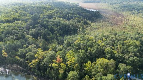 Tiny photo for 00 Montague Island Road, Jamaica, VA 23079 (MLS # 2530203)