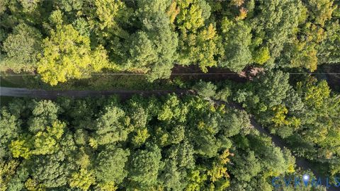 Tiny photo for 00 Montague Island Road, Jamaica, VA 23079 (MLS # 2530203)