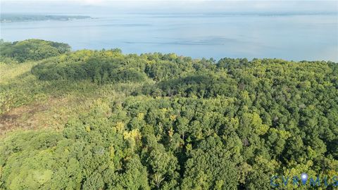 Tiny photo for 00 Montague Island Road, Jamaica, VA 23079 (MLS # 2530203)