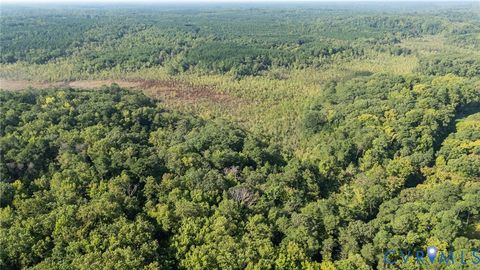 Tiny photo for 00 Montague Island Road, Jamaica, VA 23079 (MLS # 2530203)