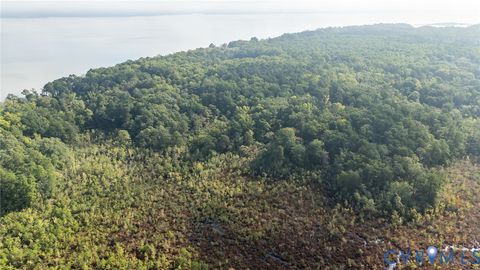 Tiny photo for 00 Montague Island Road, Jamaica, VA 23079 (MLS # 2530203)