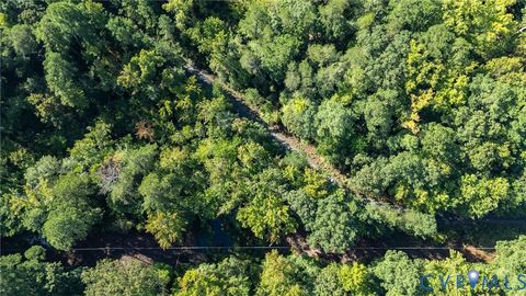 Tiny photo for 00 Montague Island Road, Jamaica, VA 23079 (MLS # 2530203)