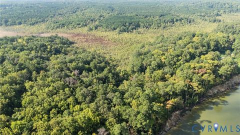 Tiny photo for 00 Montague Island Road, Jamaica, VA 23079 (MLS # 2530203)