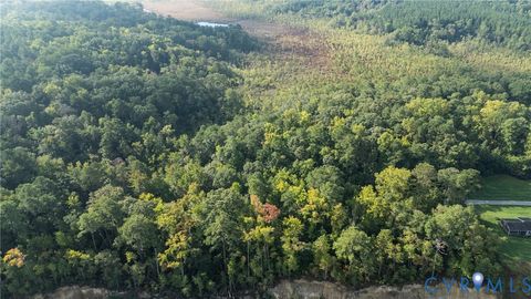 Tiny photo for 00 Montague Island Road, Jamaica, VA 23079 (MLS # 2530203)