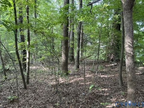 Tiny photo for 350 N Youngs Road, Petersburg, VA 23803 (MLS # 2524186)