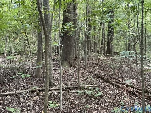 Photo of 350 N Youngs Road, Petersburg, VA 23803 (MLS # 2524186)