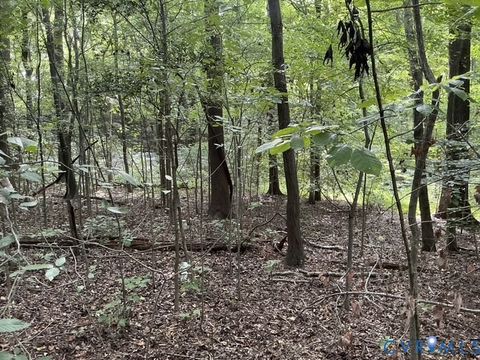 Tiny photo for 350 N Youngs Road, Petersburg, VA 23803 (MLS # 2524186)