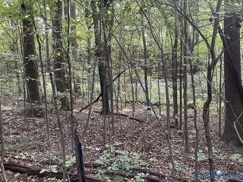 Tiny photo for 350 N Youngs Road, Petersburg, VA 23803 (MLS # 2524186)