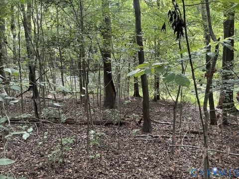 Tiny photo for 350 N Youngs Road, Petersburg, VA 23803 (MLS # 2524186)