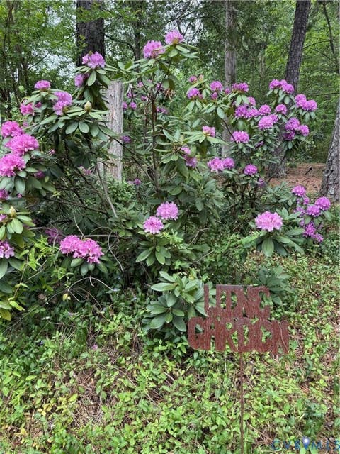 Tiny photo for 12669 Fawn Lane, Goochland, VA 23233 (MLS # 2610401)