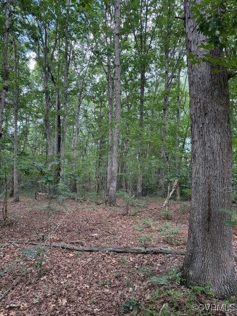 Tiny photo for 00 Maidens Road, Maidens, VA 23102 (MLS # 2519413)