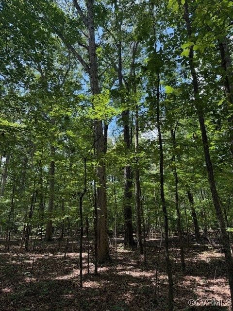 Tiny photo for 00 Maidens Road, Maidens, VA 23102 (MLS # 2519413)