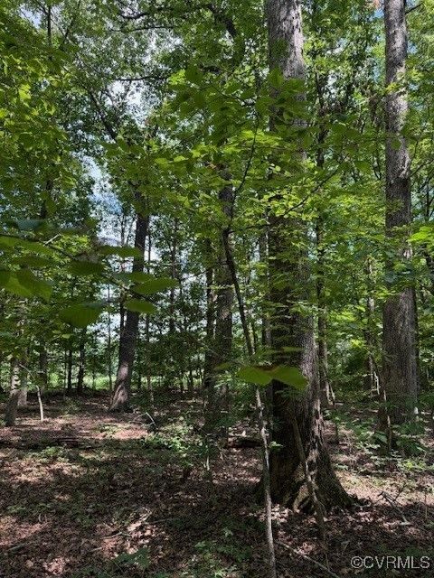 Tiny photo for 00 Maidens Road, Maidens, VA 23102 (MLS # 2519413)