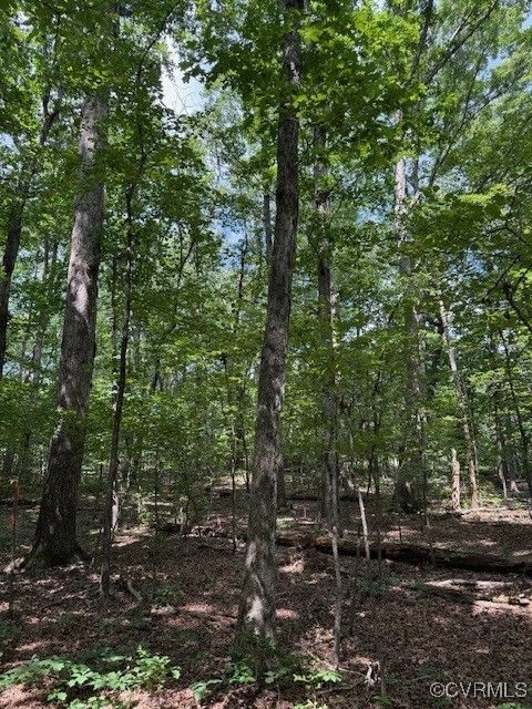 Tiny photo for 00 Maidens Road, Maidens, VA 23102 (MLS # 2519413)