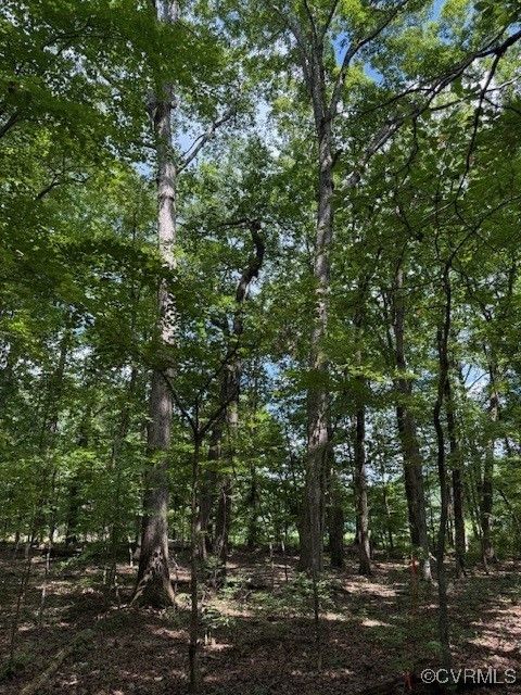 Tiny photo for 00 Maidens Road, Maidens, VA 23102 (MLS # 2519413)