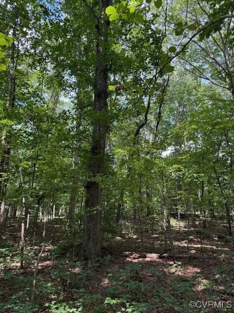 Tiny photo for 00 Maidens Road, Maidens, VA 23102 (MLS # 2519413)