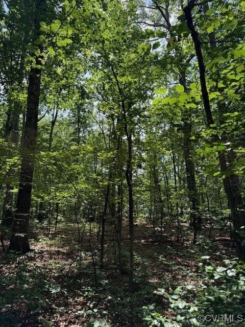 Tiny photo for 00 Maidens Road, Maidens, VA 23102 (MLS # 2519413)