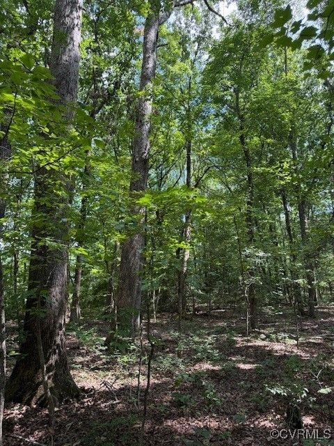 Tiny photo for 00 Maidens Road, Maidens, VA 23102 (MLS # 2519413)